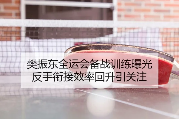 樊振东全运会备战训练曝光 反手衔接效率回升引关注